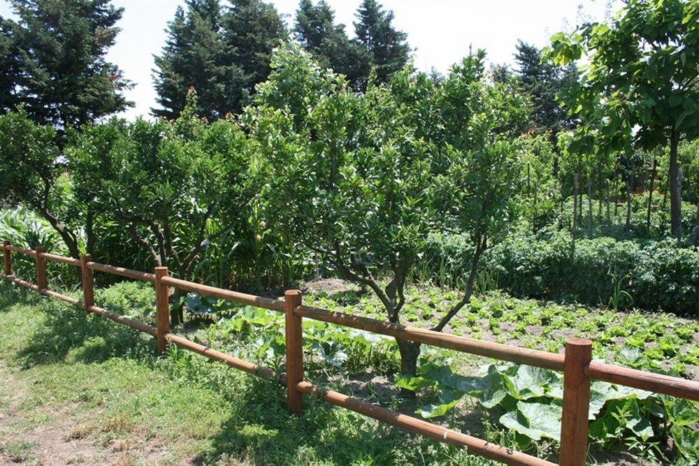 Azienda Agrituristica Vivi Natura Pompei Exterior photo