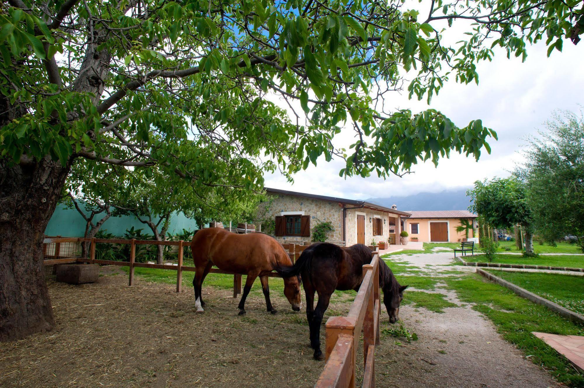 Azienda Agrituristica Vivi Natura Pompei Exterior photo