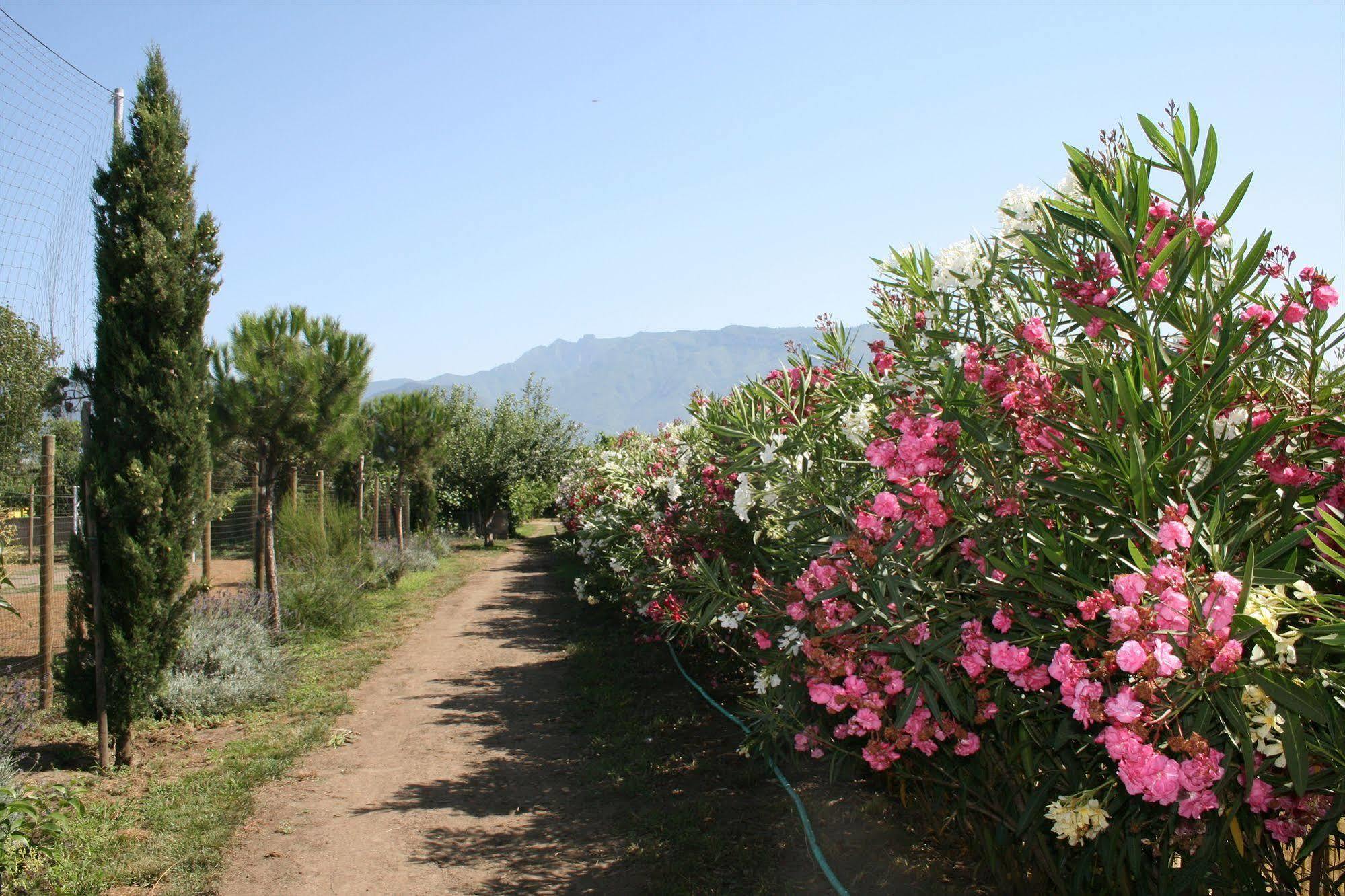 Azienda Agrituristica Vivi Natura Pompei Exterior photo