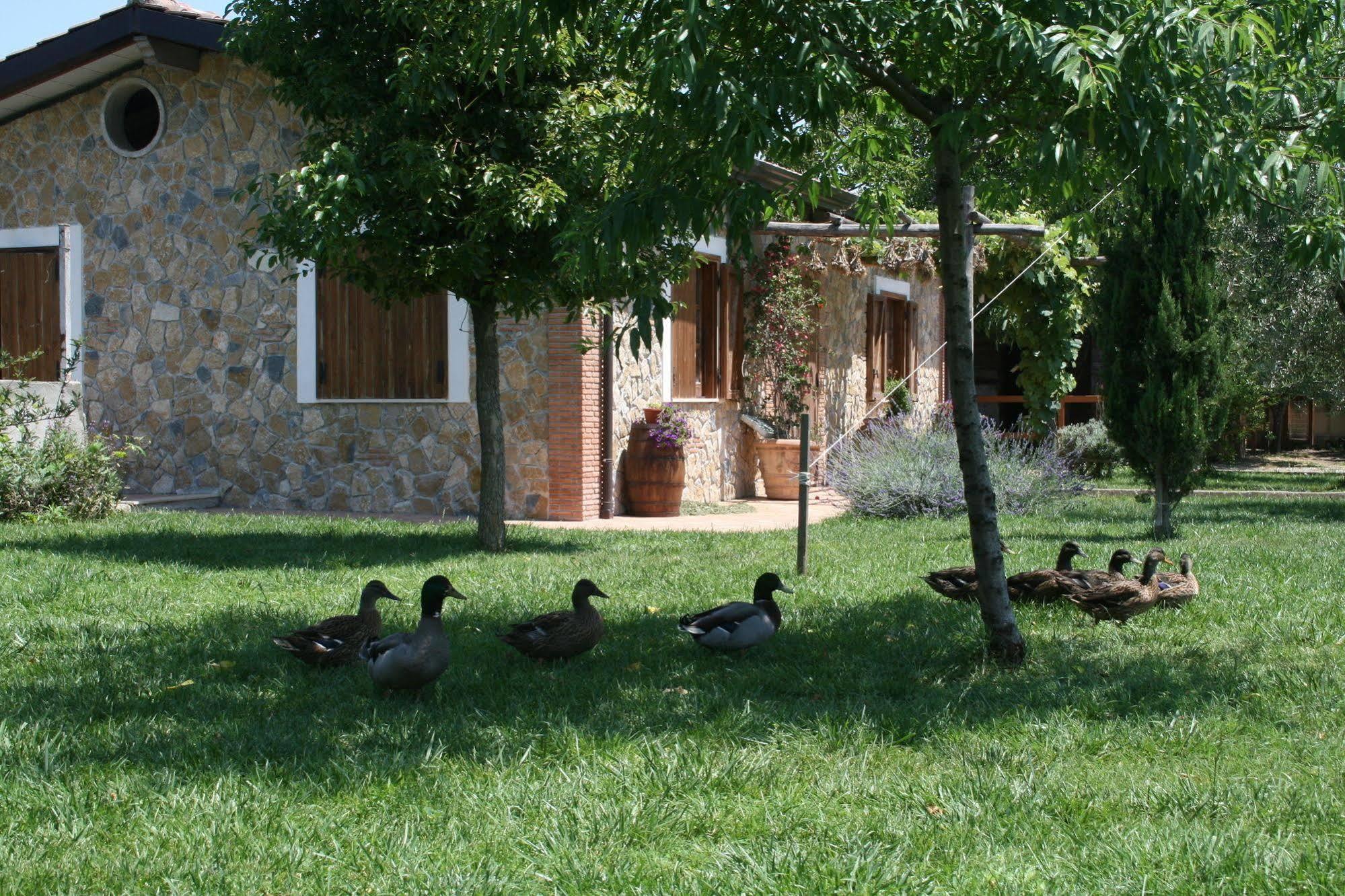 Azienda Agrituristica Vivi Natura Pompei Exterior photo